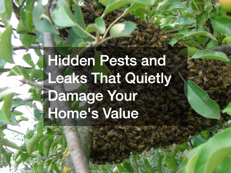 Hidden Pests and Leaks That Quietly Damage Your Homes Value
